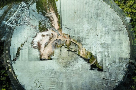 Bits of green peek through cracks in the Arecibo telescope's dish.