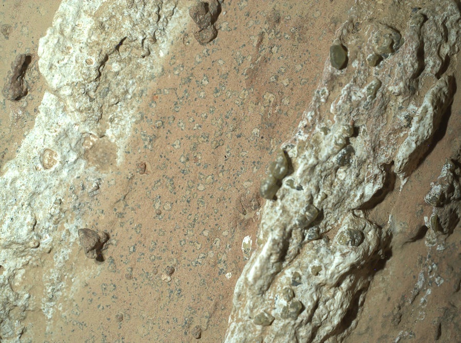 NASA's Perseverance Mars rover captured this image of a rock nicknamed "Cheyava Falls" on July 18, 2024, the 1,212th Martian day, or sol, of the mission. Running the length of the rock are large white calcium sulfate veins. Between those veins are bands of material whose reddish color suggests the presence of hematite, one of the minerals that gives Mars its distinctive rusty hue. The white, knobby material seen on either side of the spots is dotted with a few green olivine crystals, which form in igneous rocks such as lava flows
